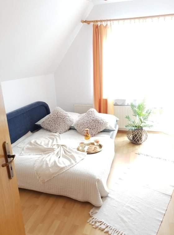 Apartament Dominik زاكوباني المظهر الخارجي الصورة