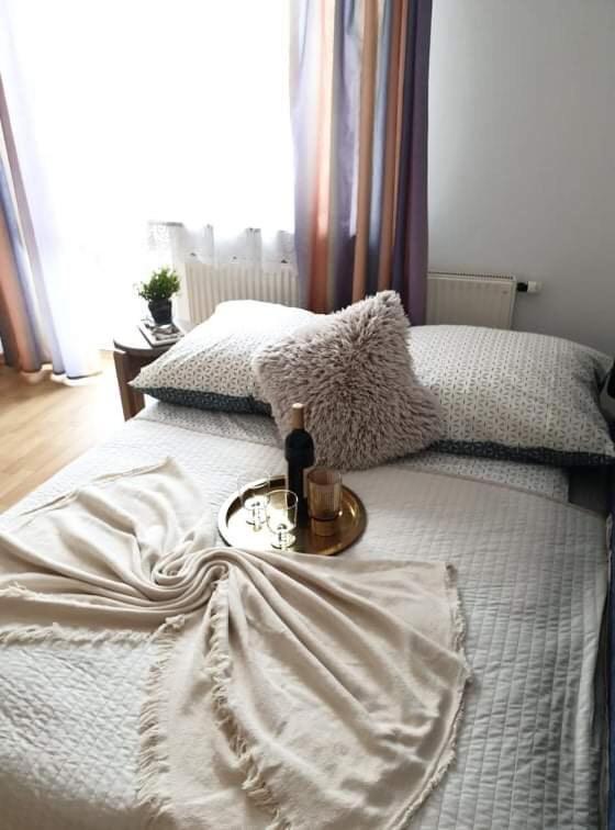 Apartament Dominik زاكوباني المظهر الخارجي الصورة