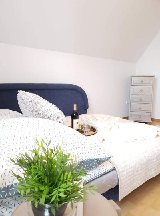 Apartament Dominik زاكوباني المظهر الخارجي الصورة