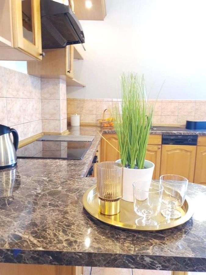 Apartament Dominik زاكوباني المظهر الخارجي الصورة