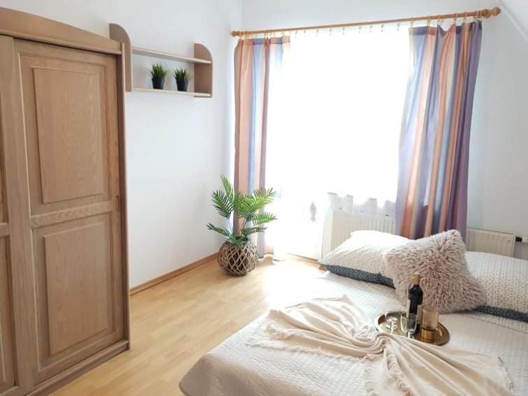 Apartament Dominik زاكوباني المظهر الخارجي الصورة