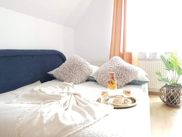 Apartament Dominik زاكوباني المظهر الخارجي الصورة